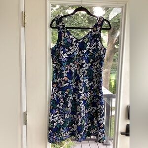 Cabi Cinco shift dress- Blue and White